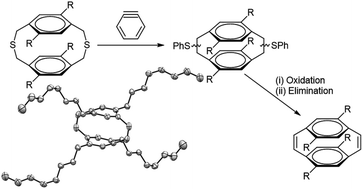 Graphical abstract: Alkyl substituted [2.2]paracyclophane-1,9-dienes