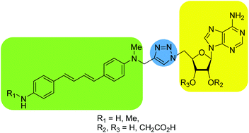 Graphical abstract: Convergent synthesis and properties of photoactivable NADPH mimics targeting nitric oxide synthases