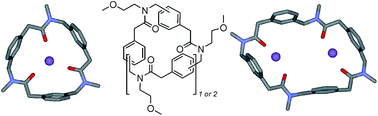 Graphical abstract: Synthesis and complexing properties of cyclic benzylopeptoids – a new family of extended macrocyclic peptoids