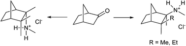 Graphical abstract: A new synthesis and preliminary evaluation of some analogues of mecamylamine – a compound with anti-addiction properties