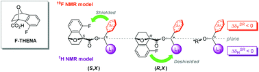 Graphical abstract: F-THENA: a chiral derivatizing agent for the determination of the absolute configuration of secondary aromatic alcohols with a self-validating system