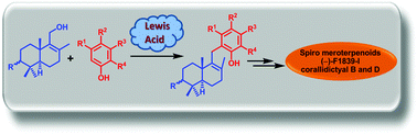 Graphical abstract: Enantiospecific total syntheses of meroterpenoids (−)-F1839-I and (−)-corallidictyals B and D