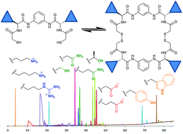 Graphical abstract: Pseudopeptidic compounds for the generation of dynamic combinatorial libraries of chemically diverse macrocycles in aqueous media