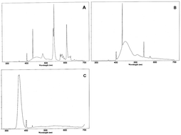 Graphical abstract: Responses of Crepis japonica induced by supplemental blue light and UV-A radiation