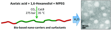 Graphical abstract: Towards sustainable polymeric nano-carriers and surfactants: facile low temperature enzymatic synthesis of bio-based amphiphilic copolymers in scCO2