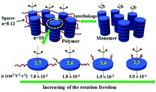 Graphical abstract: Systematic studies on structure–properties relationship of main chain discotic liquid crystalline polyethers: effects of the spacer lengths and substitution positions