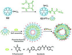 Graphical abstract: Self-assembled fluorodendrimers in the co-delivery of fluorinated drugs and therapeutic genes