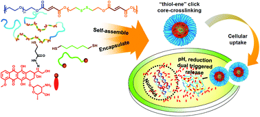 Graphical abstract: Reduction/pH dual-responsive nano-prodrug micelles for controlled drug delivery