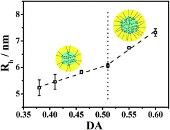 Graphical abstract: Hydrodynamic behaviors of amphiphilic dendritic polymers with different degrees of amidation