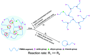Graphical abstract: Formation of long sub-chain hyperbranched poly(methyl methacrylate) based on inhibited self-cyclization of seesaw macromonomers