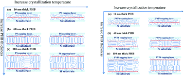 Graphical abstract: A grazing incident XRD study on the structure of poly(3-hydroxybutyrate) ultrathin films sandwiched between Si wafers and amorphous polymers