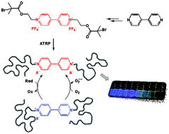 Graphical abstract: Well-defined polymers containing a single mid-chain viologen group: synthesis, environment-sensitive fluorescence, and redox activity