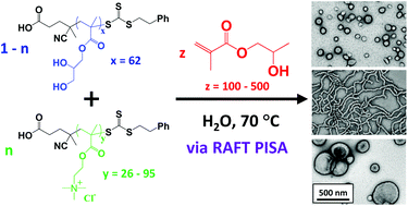 Graphical abstract: Bespoke cationic nano-objects via RAFT aqueous dispersion polymerisation
