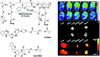 Graphical abstract: Chemotherapeutic copolymers prepared via the RAFT polymerization of prodrug monomers