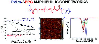 Graphical abstract: Poly(N-vinylimidazole)-l-poly(propylene glycol) amphiphilic conetworks and gels: molecularly forced blends of incompatible polymers with single glass transition temperatures of unusual dependence on the composition