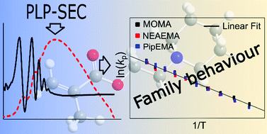 Graphical abstract: Investigating the propagation kinetics of a novel class of nitrogen-containing methacrylates via PLP-SEC