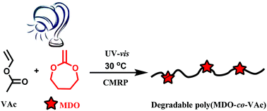 Graphical abstract: A degradable copolymer of 2-methylene-1,3-dioxepane and vinyl acetate by photo-induced cobalt-mediated radical polymerization