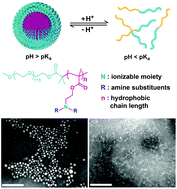Graphical abstract: Non-covalent interactions in controlling pH-responsive behaviors of self-assembled nanosystems