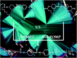 Graphical abstract: An entropy-driven ring-opening metathesis polymerization approach towards main-chain liquid crystalline polymers