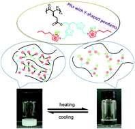 Graphical abstract: Synthesis and UCST-type phase behavior of α-helical polypeptides with Y-shaped and imidazolium pendants