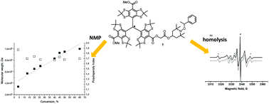 Graphical abstract: Trityl-based alkoxyamines as NMP controllers and spin-labels