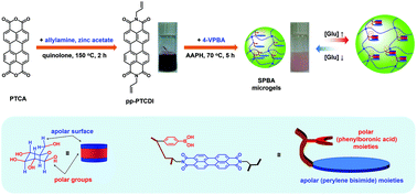 Graphical abstract: Bioinspired synthesis of poly(phenylboronic acid) microgels with high glucose selectivity at physiological pH