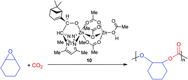 Graphical abstract: Ring-opening copolymerisation of cyclohexene oxide and carbon dioxide catalysed by scorpionate zinc complexes