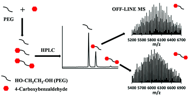 Graphical abstract: Separation and characterization of benzaldehyde-functional polyethylene glycols by liquid chromatography under critical conditions