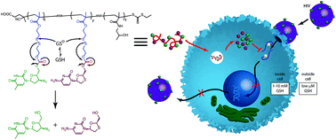 Graphical abstract: Combination anti-HIV therapy via tandem release of prodrugs from macromolecular carriers