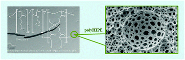Graphical abstract: Rational design of functionalized polyacrylate-based high internal phase emulsion materials for analytical and biomedical uses