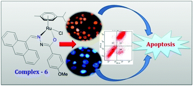 Graphical abstract: Ruthenium(ii) arene complexes containing benzhydrazone ligands: synthesis, structure and antiproliferative activity