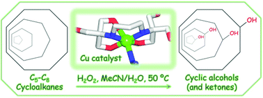 Graphical abstract: Self-assembly generation, structural features, and oxidation catalytic properties of new aqua-soluble copper(ii)-aminoalcohol derivatives