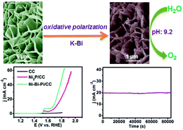 Graphical abstract: A nickel–borate–phosphate nanoarray for efficient and durable water oxidation under benign conditions