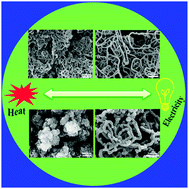 Graphical abstract: Polypyrrole nanostructures and their thermoelectric performance