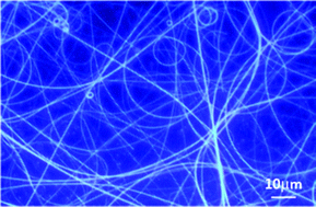 Graphical abstract: Fabrication of circular polarized luminescent helical fibers from chiral phenanthro[9,10]imidazole derivatives