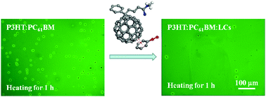 Graphical abstract: Investigation of supramolecular interactions between liquid crystals and PCBM for improved morphological stability in solar cells
