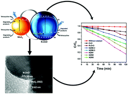 Graphical abstract: N-doped ZnO–MoS2 binary heterojunctions: the dual role of 2D MoS2 in the enhancement of photostability and photocatalytic activity under visible light irradiation for tetracycline degradation