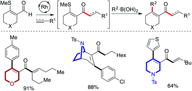 Graphical abstract: Heterocycle-derived β-S-enals as bifunctional linchpins for the catalytic synthesis of saturated heterocycles