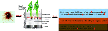 Graphical abstract: Enhancement of the performance of constructed wetlands for wastewater treatment in winter: the effect of Tubifex tubifex