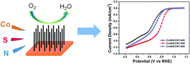 Graphical abstract: Co-supported catalysts on nitrogen and sulfur co-doped vertically-aligned carbon nanotubes for oxygen reduction reaction