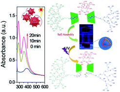 Graphical abstract: Hierarchical self-assembly of protoporphyrin IX-bridged Janus particles into photoresponsive vesicles