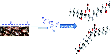 Graphical abstract: Lewis-acid catalyzed synthesis and characterization of novel castor fatty acid-based cyclic carbonates