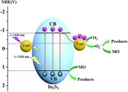 Graphical abstract: Carbon quantum dot decorated hollow In2S3 microspheres with efficient visible-light-driven photocatalytic activities