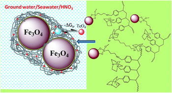 Graphical abstract: Quaternary ammonium bearing hyper-crosslinked polymer encapsulation on Fe3O4 nanoparticles