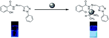 Graphical abstract: A highly selective and sensitive acylhydrazone-based turn-on optical sensor for Al3+