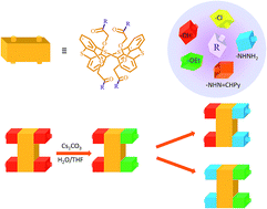 Graphical abstract: Synthesis, structure and coordination properties of novel bifunctional carboxylic derivatives of 1,3-alternate tetrathiacalix[4]arene
