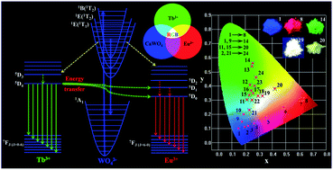 Graphical abstract: Multi-color luminescence properties and energy transfer behaviour in host-sensitized CaWO4:Tb3+,Eu3+ phosphors