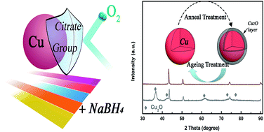 Graphical abstract: An environmentally friendly route to synthesize Cu micro/nanomaterials with “sustainable oxidation resistance” and promising catalytic performance