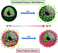 Graphical abstract: Design of thermoresponsive polymeric gates with opposite controlled release behaviors