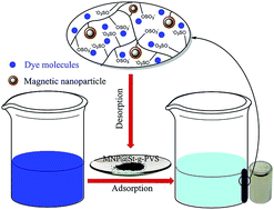 Graphical abstract: Efficient removal of cationic dyes using a new magnetic nanocomposite based on starch-g-poly(vinylalcohol) and functionalized with sulfate groups